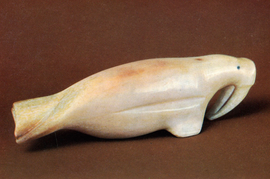 Walrus. 1930s